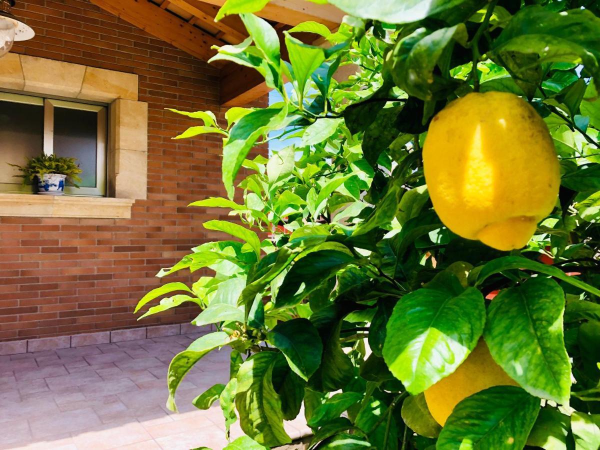 Chalet Con Piscina Privada!!! Altafulla Exterior photo